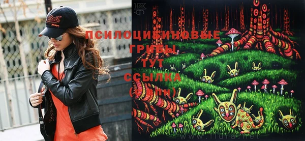прущая мука Аркадак