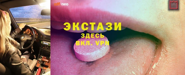 индика Новодвинск