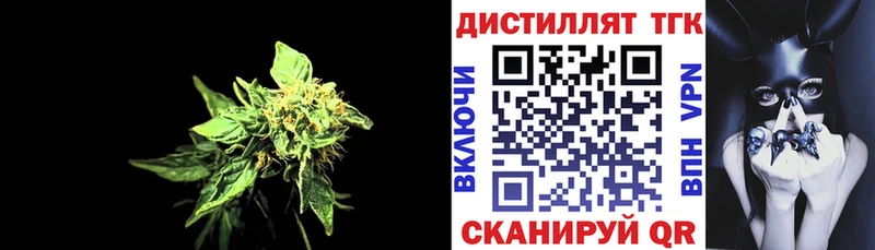 продажа наркотиков  ссылка на мегу ССЫЛКА  Дистиллят ТГК концентрат  Покачи 