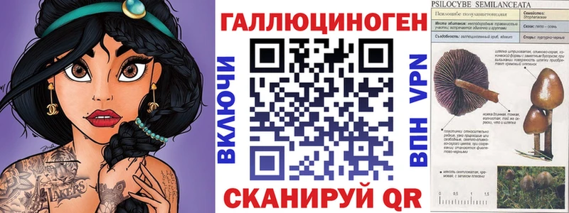дарнет шоп  Покачи  Галлюциногенные грибы Magic Shrooms 